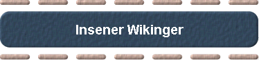  Insener Wikinger 